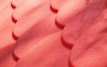 Poplar plastic roof costs