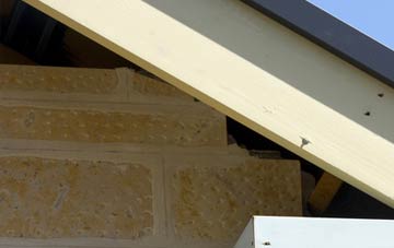 soffit repair Poplar